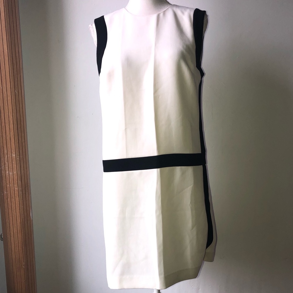 Ann Taylor Dress Size 6